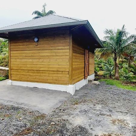 Maison Le Bois Joli Coeur Saint-Benoît المظهر الخارجي الصورة