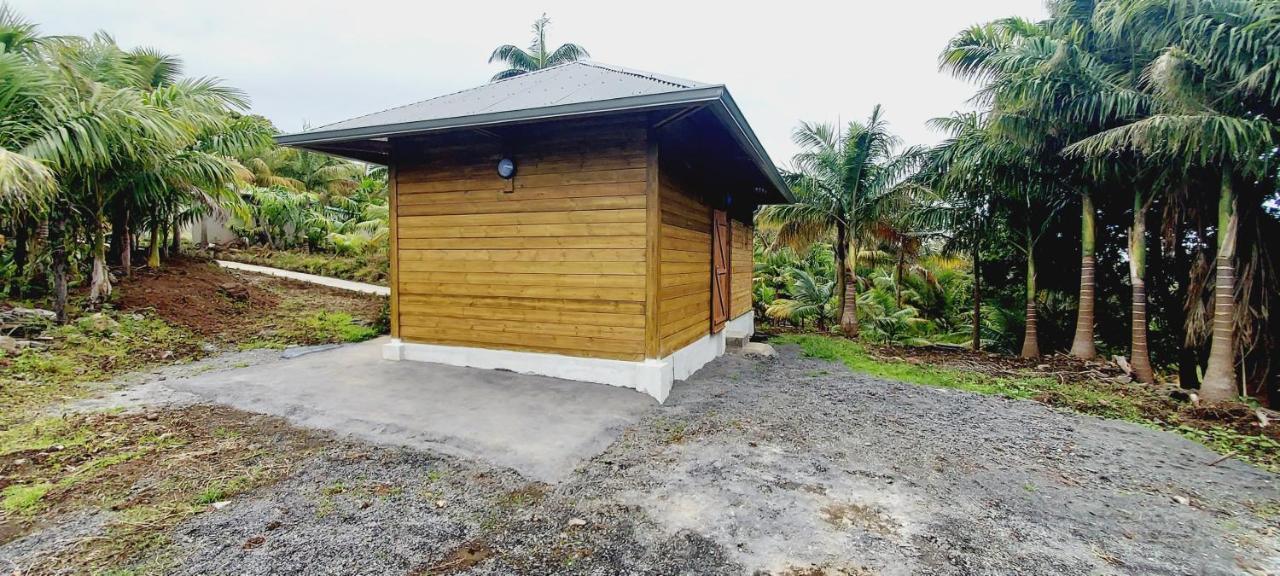 Maison Le Bois Joli Coeur Saint-Benoît المظهر الخارجي الصورة