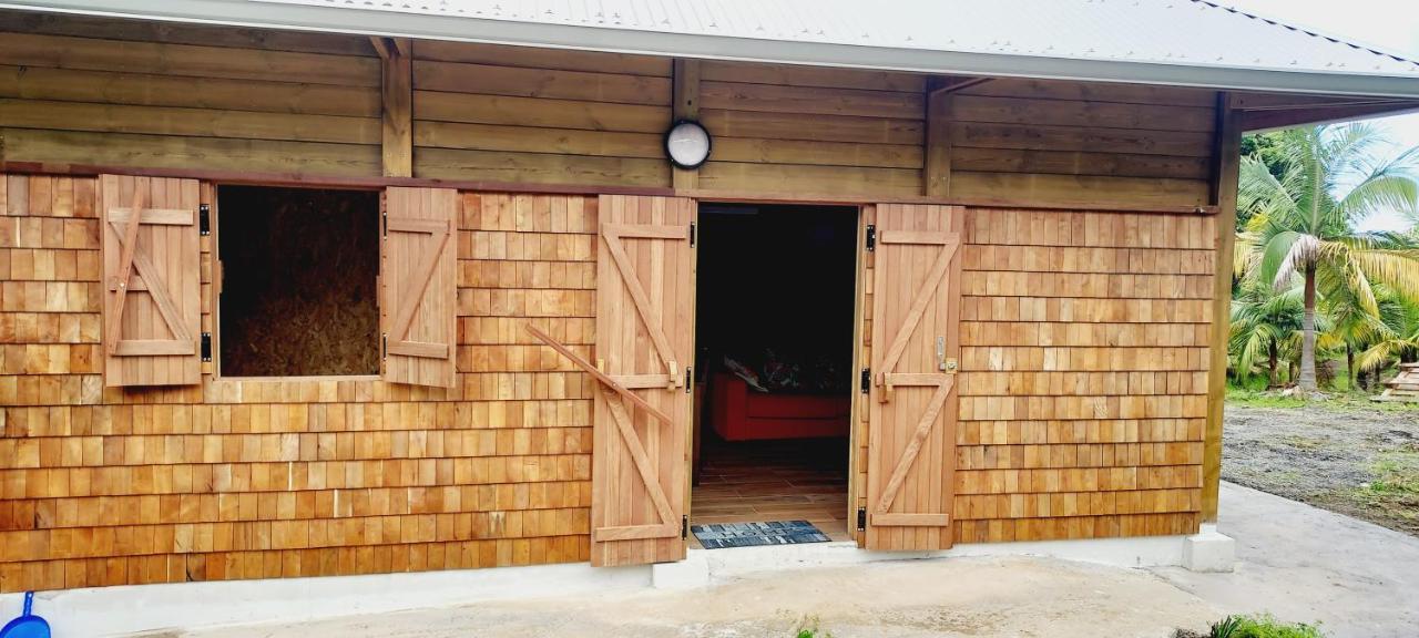 Maison Le Bois Joli Coeur Saint-Benoît المظهر الخارجي الصورة